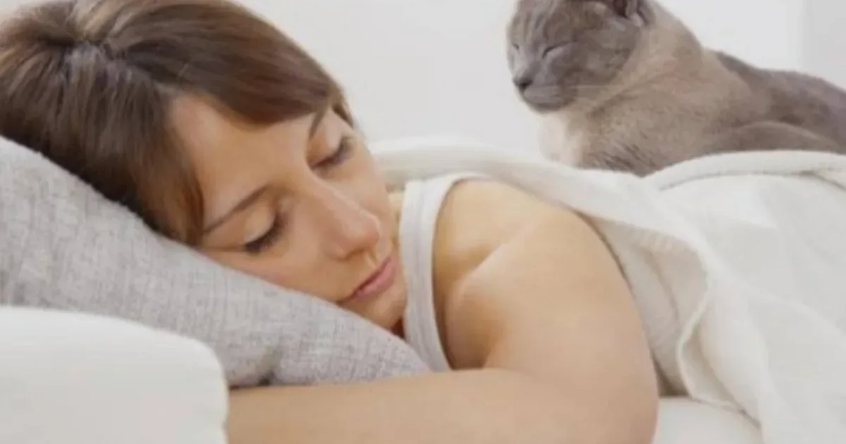 A ciência por trás do gato que dorme ao seu lado