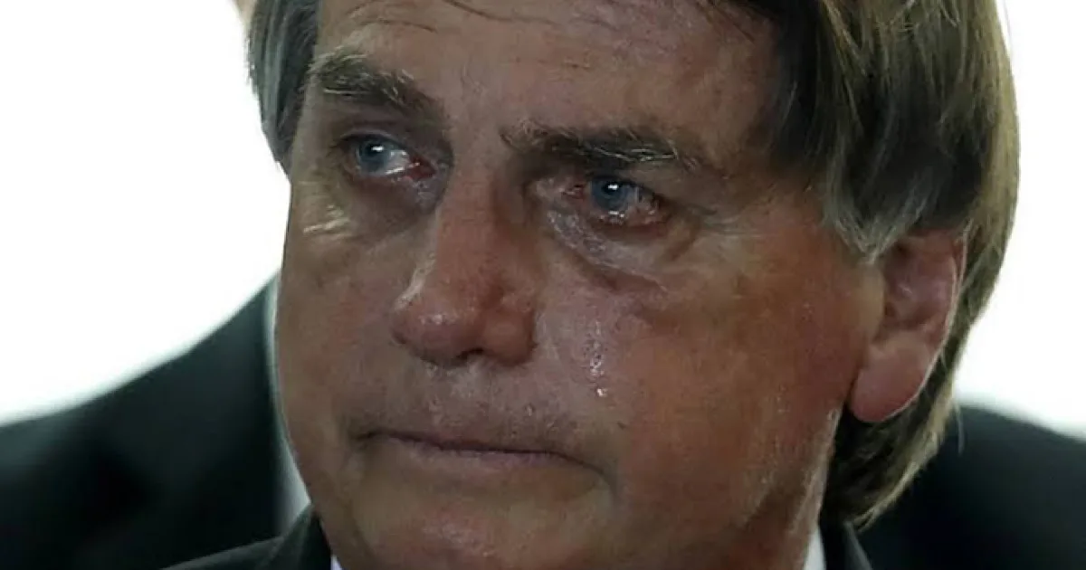 artigo 06a3cd1711dadff3501c71a5