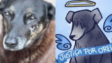 artigo 0c4048437b155ae4a413ea34