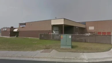 artigo 0f8967876fa09ce6db9dbbbe