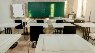 artigo 17c0b56da5426d45f04f73a6