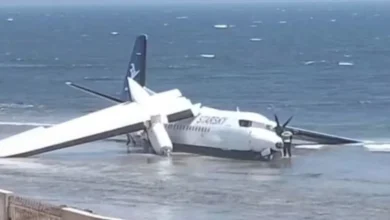 artigo 19306559c25a3e6b7aaa4f49