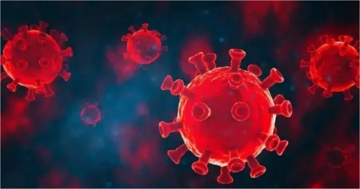 artigo 20f9aa79f99f663c67e18940