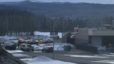 artigo 23df3c953508ce6e000e2568