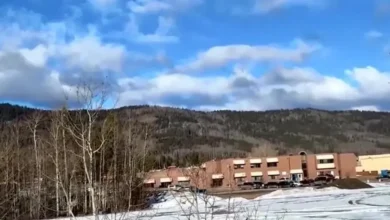 artigo 2657cb0d64f426c2f26a67f3