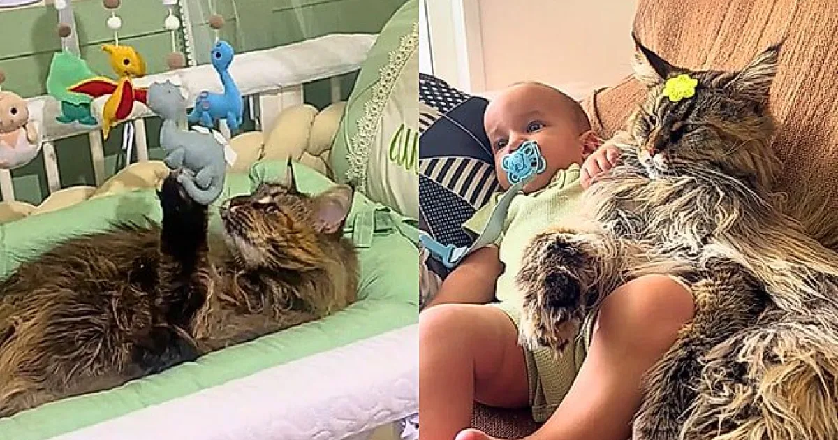 artigo 3a7351af40037c3902394734