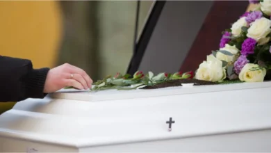 artigo 4ea8f9e55b130a3955a86219