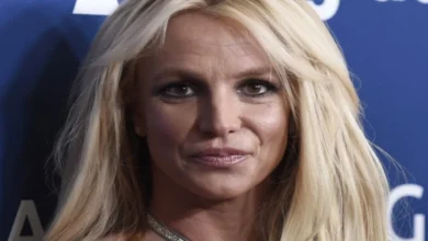 artigo 631309b12560cf67fe72f40c