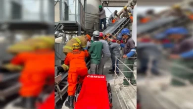 artigo 6db155201ec1456ebfaac8fc