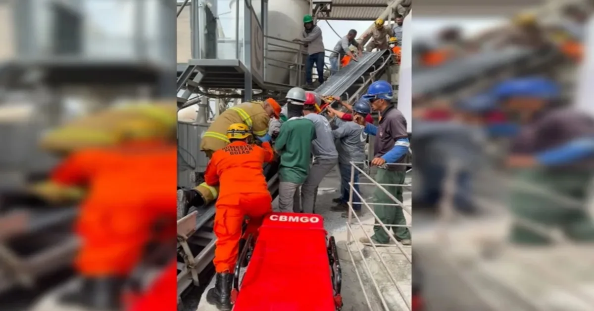 artigo 6db155201ec1456ebfaac8fc