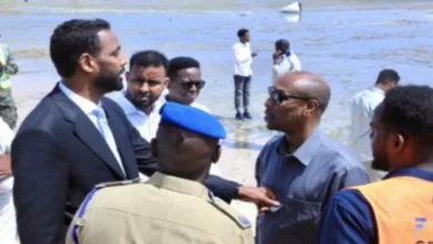 artigo 706de150c9e9d7907d47c690