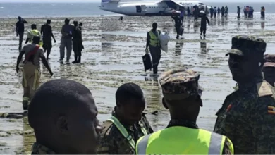 artigo 80751d71809087c24cf810db