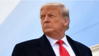 artigo 8eb3e017c1467f96356e9980