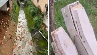 artigo 92362b5f181675f6238a7888