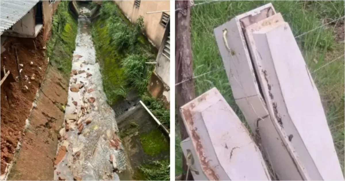 artigo 92362b5f181675f6238a7888