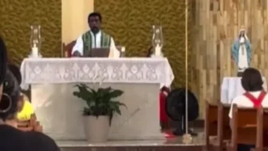 artigo c4d2783409a3305818a42583