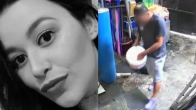 artigo c573ff7566cca082245f497e