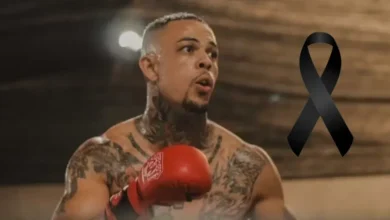 artigo d4299b11a9e2c158a6b70007