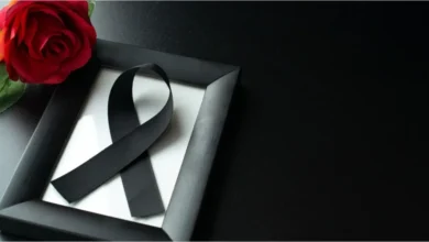 artigo e2744d483e32535b6699a0fa