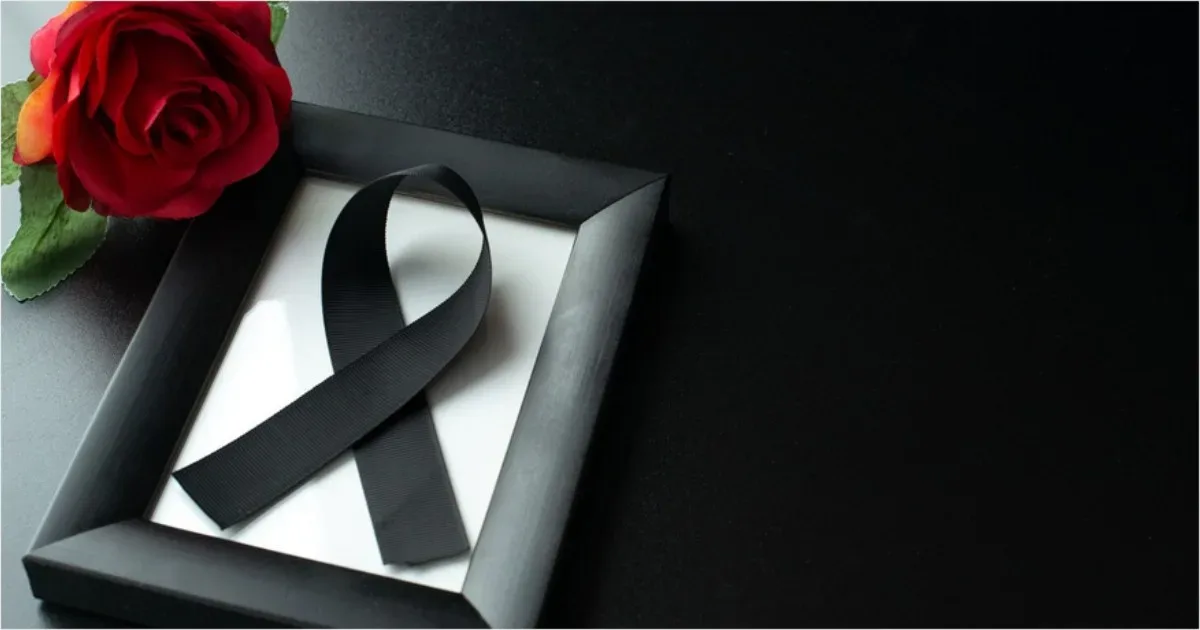 artigo e2744d483e32535b6699a0fa