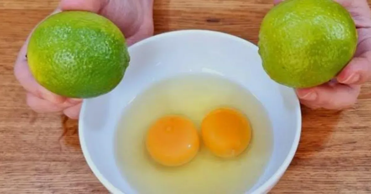 artigo e37f3d5d370ae69870a50b89