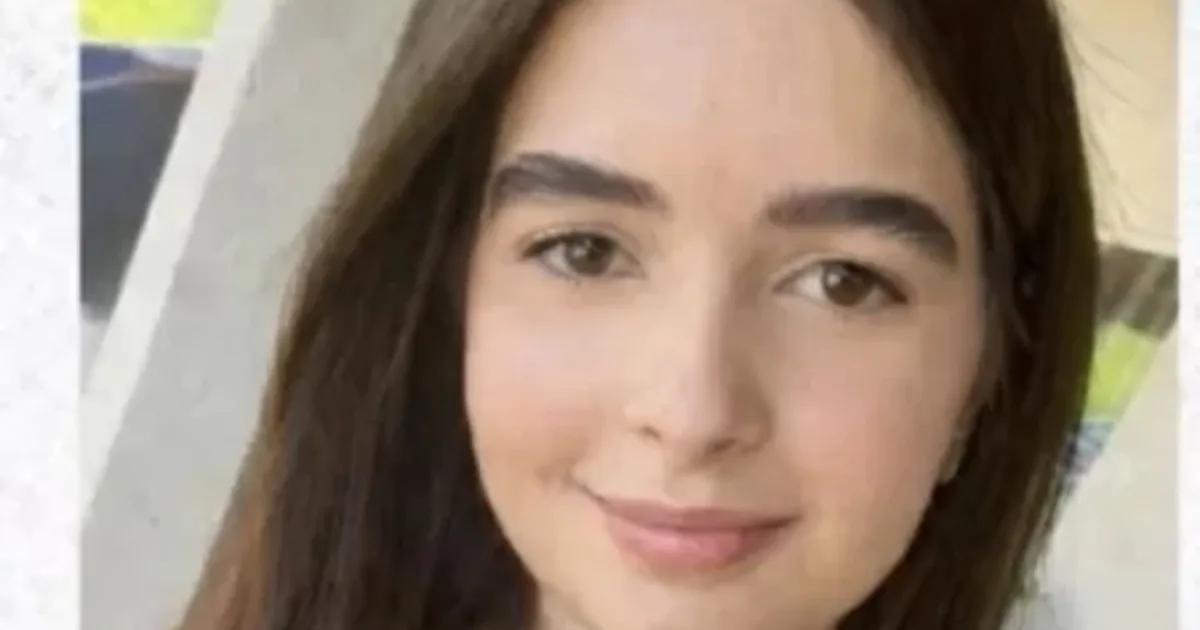 artigo ea65cfce2f282c671e9b4f26