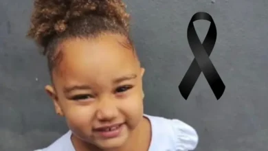 artigo ef86ea5d712665594c04e4e9