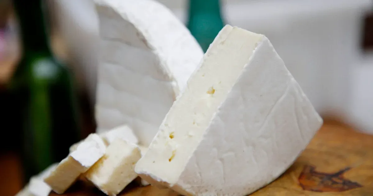 artigo f01d6240b6b6321b40ea5b26