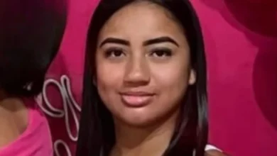 artigo f24615b21d7ead162ec478f7