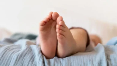 artigo f775ab216bece8c3cb4b2e66