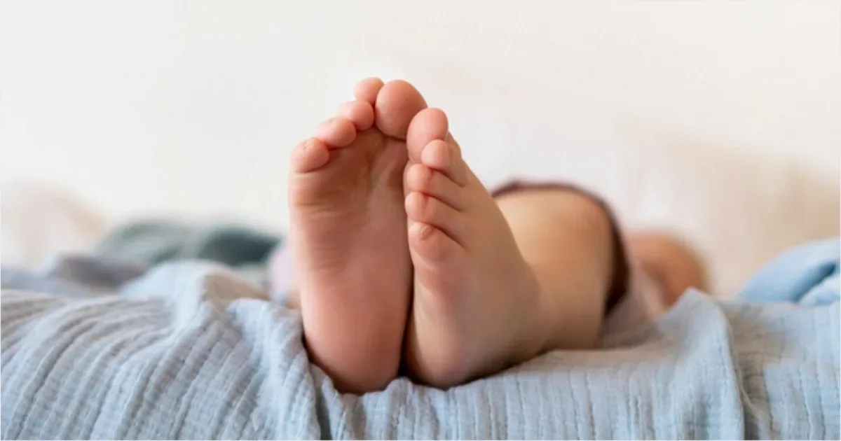 artigo f775ab216bece8c3cb4b2e66