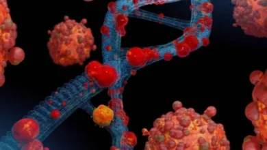 Caso de Mpox em Porto Alegre acende sinal de atenção para o período carnavalesco