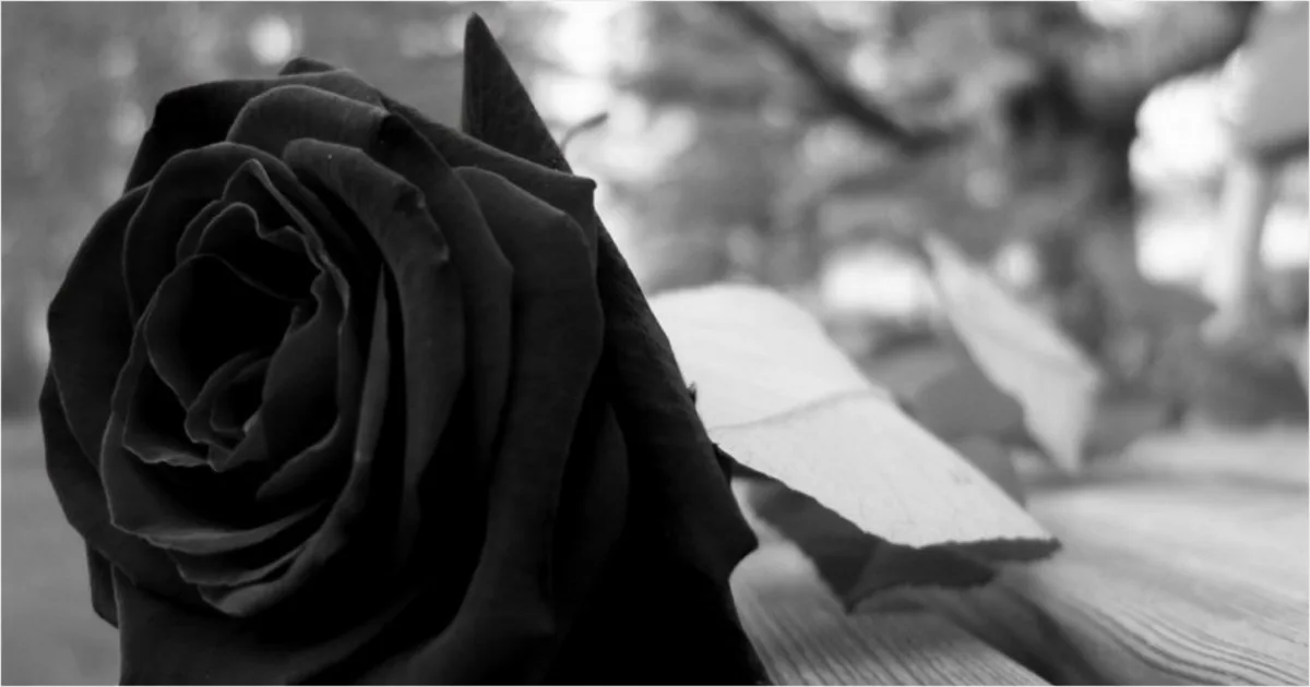 Luto: ator de 'Lizzie McGuire' e 'A Vingança dos Nerds' morre aos 71 anos