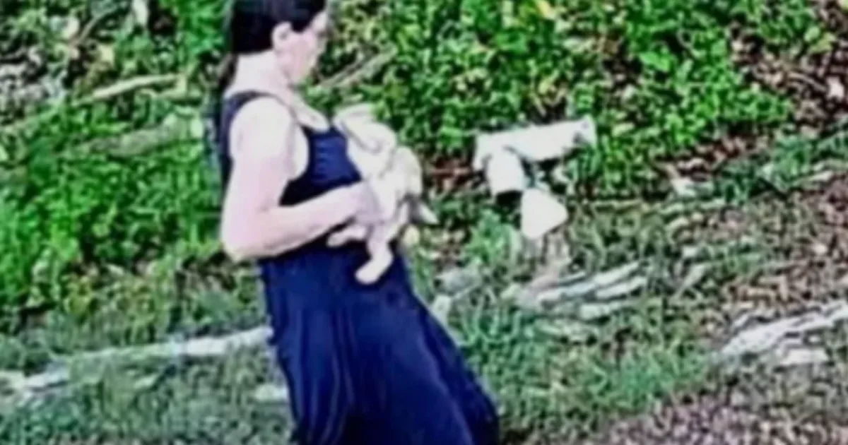 Mãe é detida enquanto buscas por bebê continuam no interior de São Paulo 1 Mãe é detida enquanto buscas por bebê continuam no interior de São Paulo