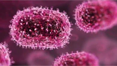 Mpox ou Nipah: qual vírus representa maior risco para a humanidade e como se proteger