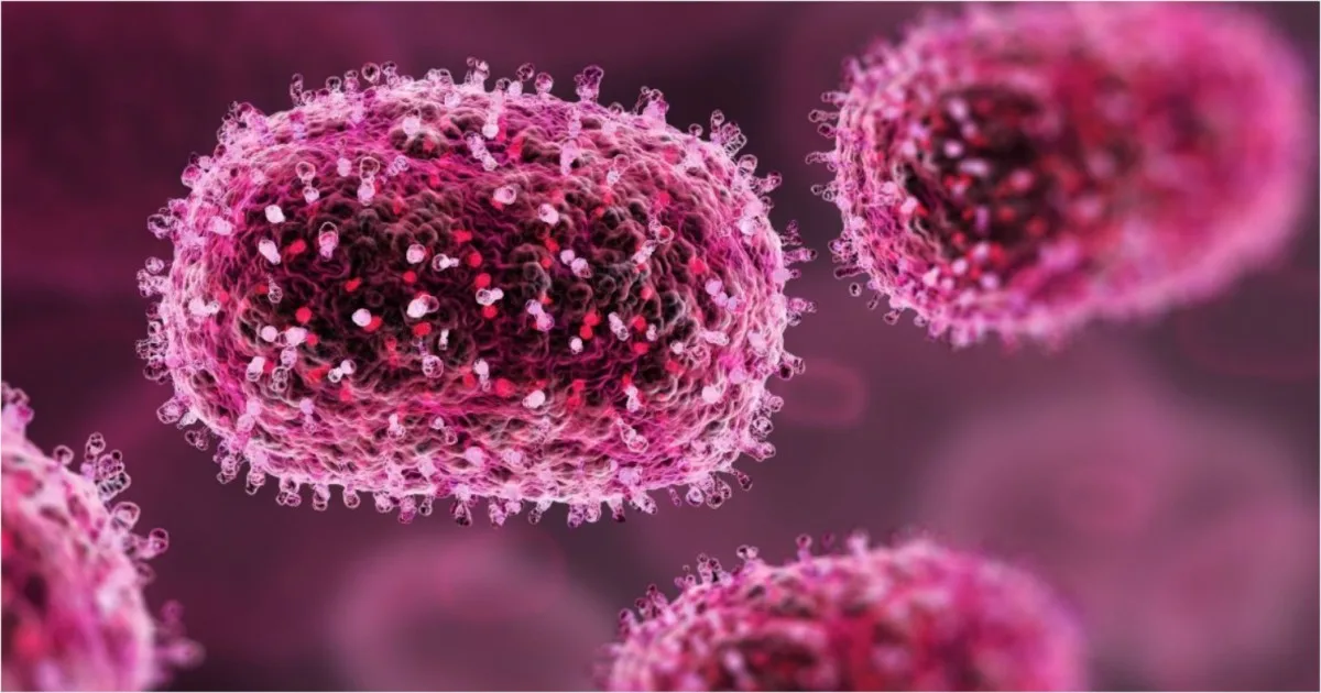 Mpox ou Nipah: qual vírus representa maior risco para a humanidade e como se proteger