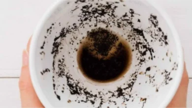 Mulher pede divórcio após o ChatGPT analisar borra de café e dizer que ela estava sendo traída