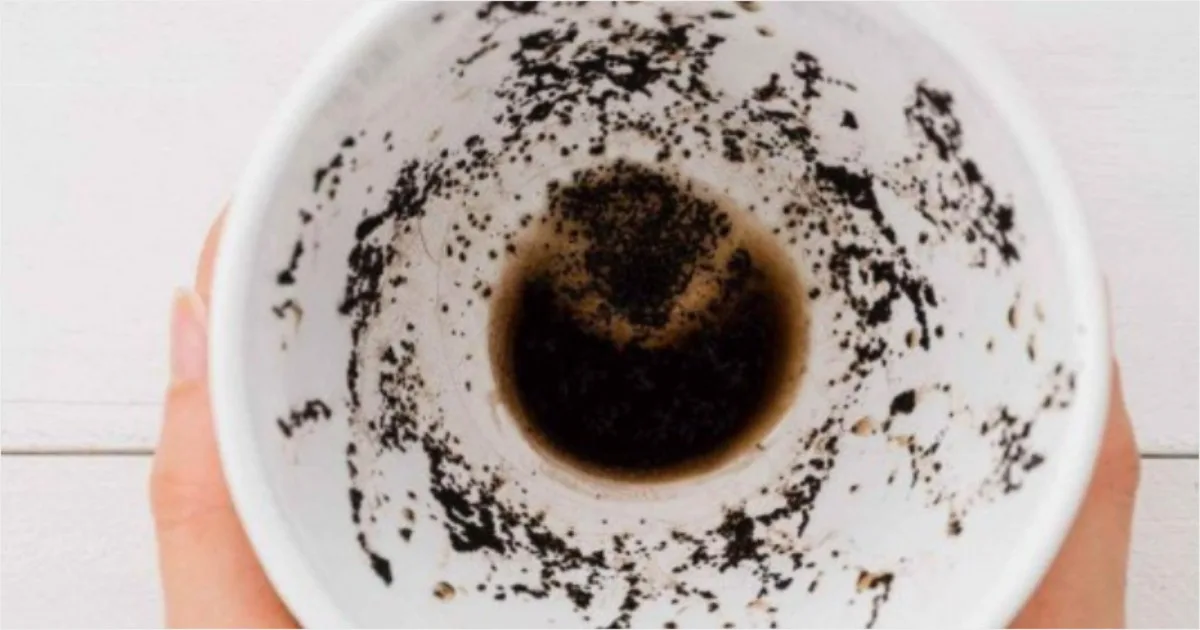 Mulher pede divórcio após o ChatGPT analisar borra de café e dizer que ela estava sendo traída 1 Mulher pede divórcio após o ChatGPT analisar borra de café e dizer que ela estava sendo traída