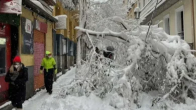 Tempestade de neve cancela voos entre Brasil e Estados Unidos 2 Tempestade de neve cancela voos entre Brasil e Estados Unidos