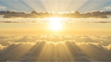 Um homem entrou em coma por causa de uma lesão cerebral e depois disso sua vida mudou completamente