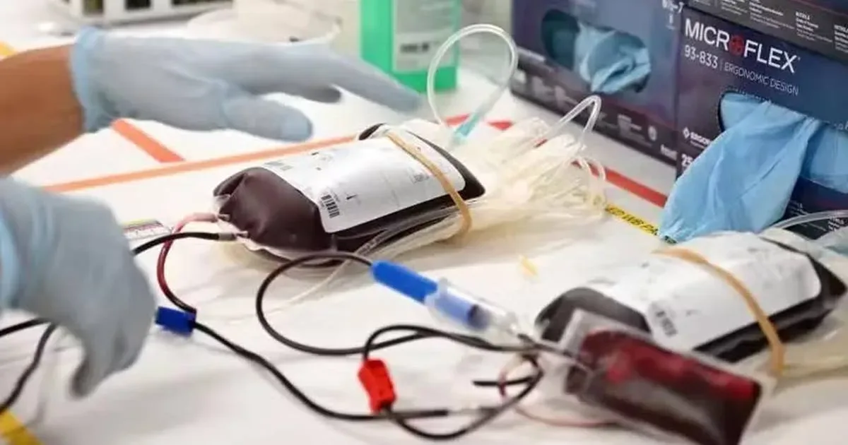 As novas regras das Testemunhas de Jeová para transfusão de sangue