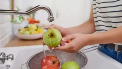 Estudo aponta 11 falhas comuns na cozinha que favorecem infecções alimentares