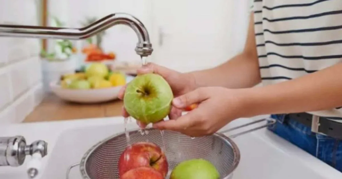 Estudo aponta 11 falhas comuns na cozinha que favorecem infecções alimentares