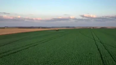 Preço de fertilizantes dispara com guerra no Irã e preocupa agro brasileiro 2 Preço de fertilizantes dispara com guerra no Irã e preocupa agro brasileiro