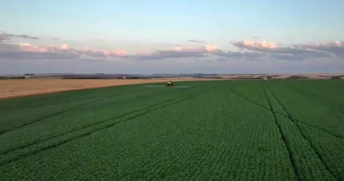 Preço de fertilizantes dispara com guerra no Irã e preocupa agro brasileiro