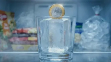 Truque da moeda no congelador viraliza e pode ajudar quem vai viajar